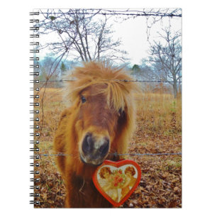 Valentine Heart  Miniature brown Horse Notebook