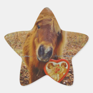 Valentine Heart  Miniature brown Horse Star Sticker