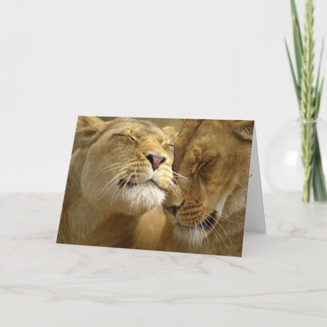 Valentine Holiday Card (Front)