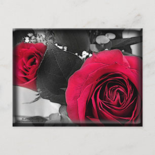 Valentine Holiday Postcard