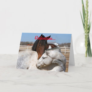 Valentine Horses Holiday Card