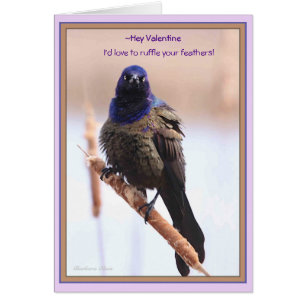 Valentine: I'd love to ruffle your feathers