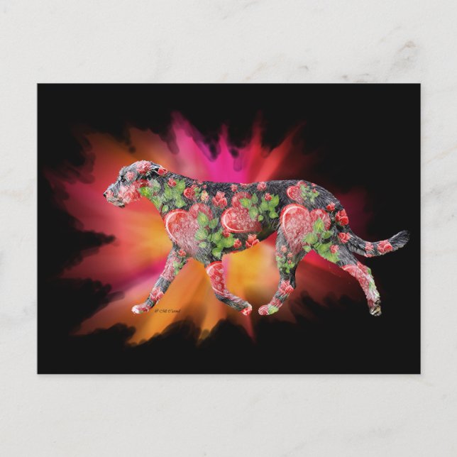 Valentine Irish Wolfhound splash of colour  Postcard (Front)