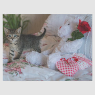 valentine kitten tissue paper