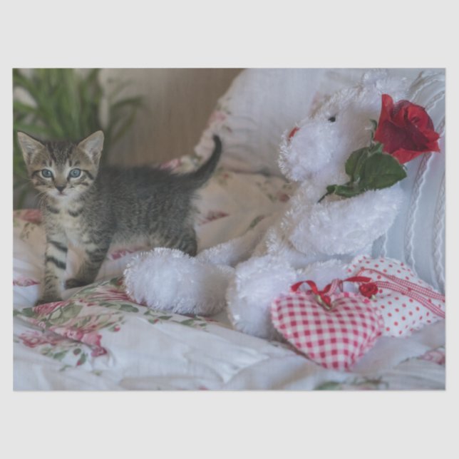 valentine kitten tissue paper (Front)