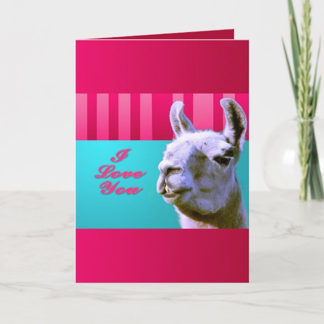 Valentine llama I love you be mine pink red, turki Holiday Card (Front)