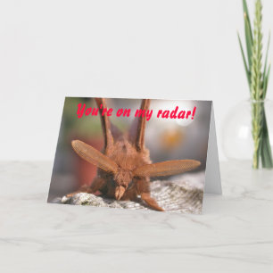 Valentine Moth Antennae: You're on my radar! Holiday Card