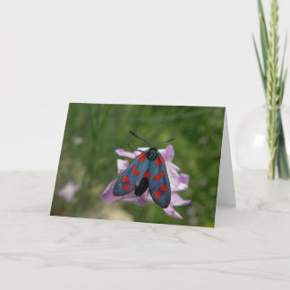 Valentine moth holiday card