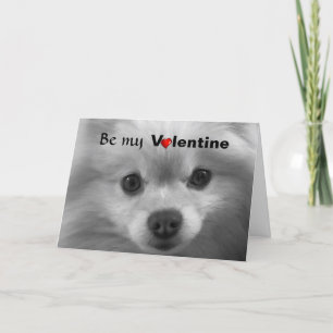 Valentine Pomeranian with Big Cute Eyes Holiday Card