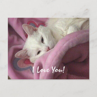 Valentine Post Card - Customised