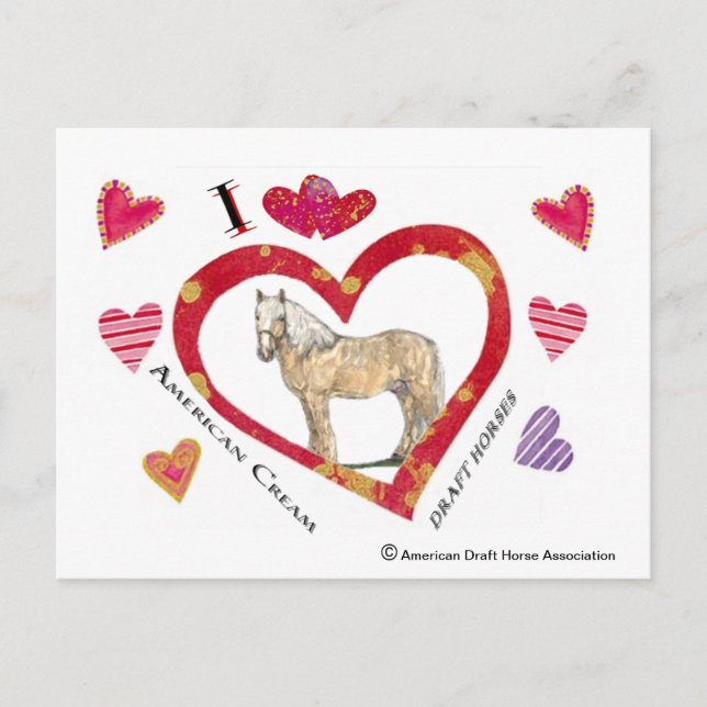 Valentine Postcard of American Cream Draught Horse (Front)