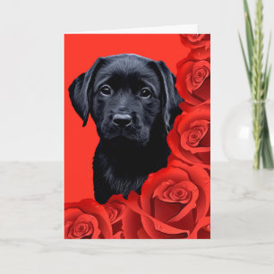 Valentine Puppy Roses - Black Lab Holiday Card