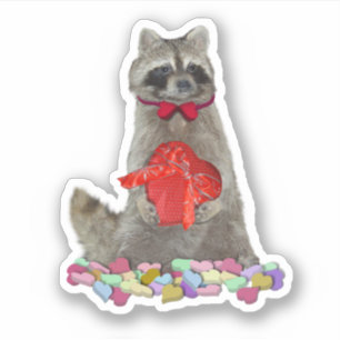 Valentine Raccoon Bandit