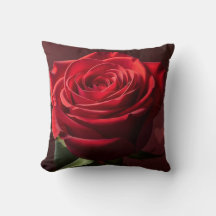valentine red rose background romantic
