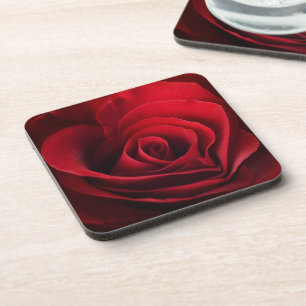 Valentine Red Rose Coaster