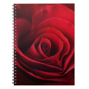 Valentine Red Rose Notebook