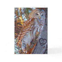 Valentine, Romance,Funny, Humour Owl --ME + WHO
