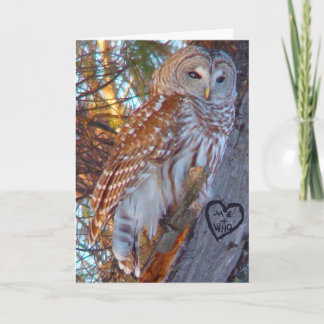 Valentine, Romance,Funny, Humour Owl --ME + WHO Holiday Card
