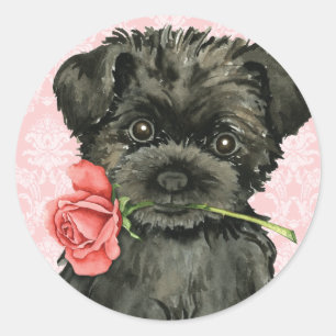 Valentine Rose Affenpinscher Classic Round Sticker