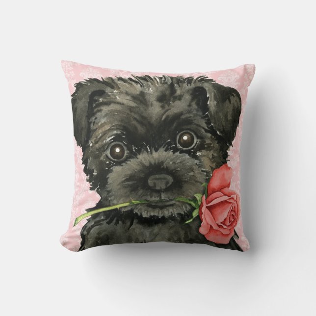 Valentine Rose Affenpinscher Cushion (Front)