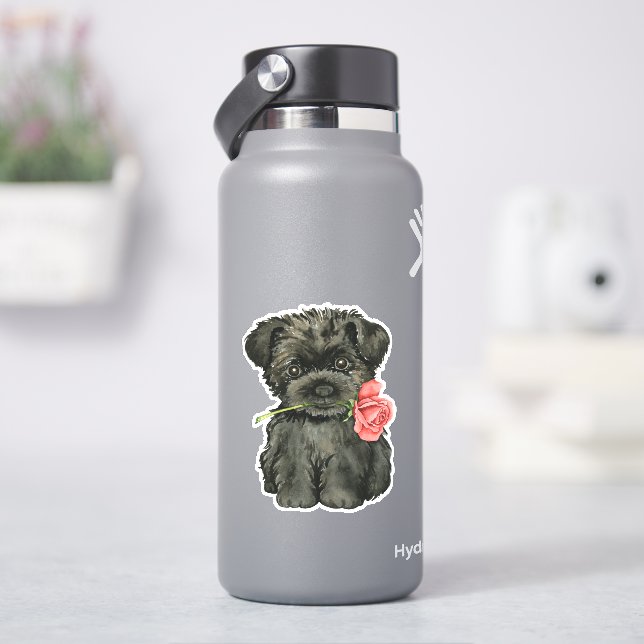 Valentine Rose Affenpinscher Vinyl (HydroFlask)