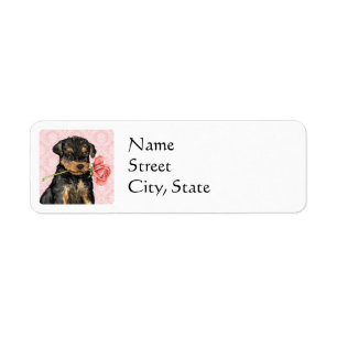 Valentine Rose Airedale