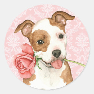 Valentine Rose Am Staff Classic Round Sticker