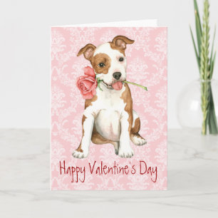 Valentine Rose Am Staff Holiday Card