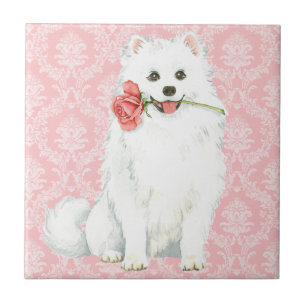 Valentine Rose American Eskimo Dog Tile
