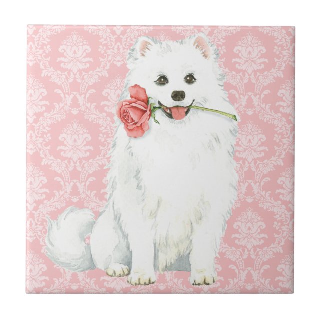Valentine Rose American Eskimo Dog Tile (Front)