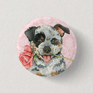 Valentine Rose Australian Cattle Dog 3 Cm Round Badge