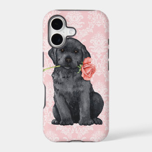 Valentine Rose Black Lab