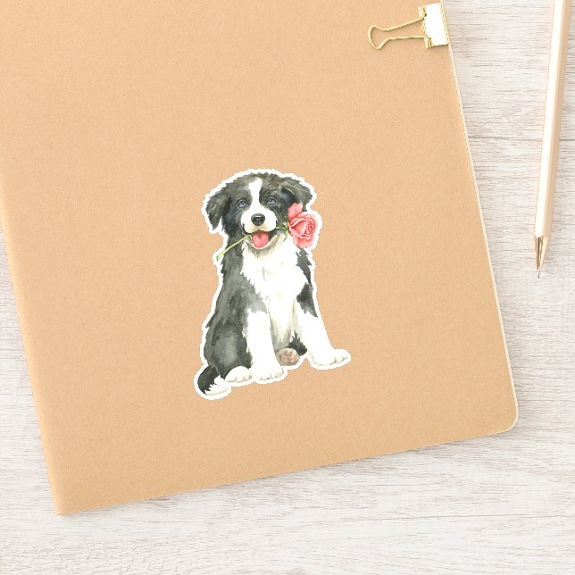 Valentine Rose Border Collie Vinyl (Notebook)