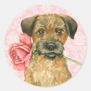 Valentine Rose Border Terrier Classic Round Sticker