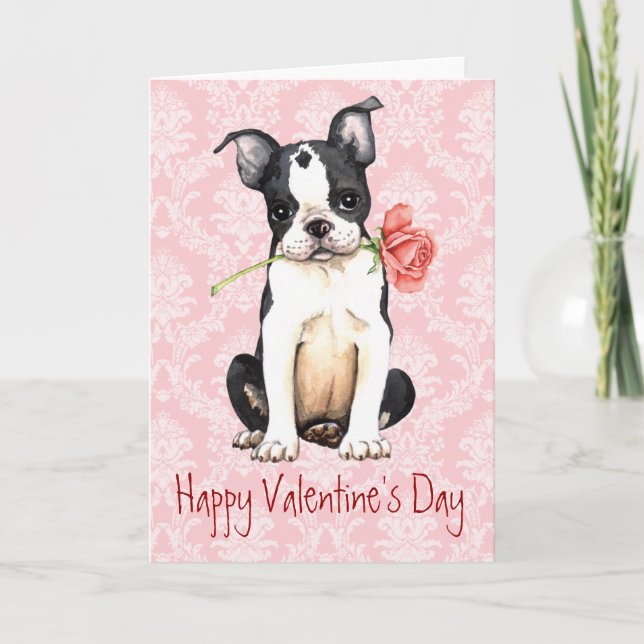 Valentine Rose Boston Terrier Holiday Card (Front)