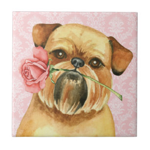 Valentine Rose Brussels Griffon Tile