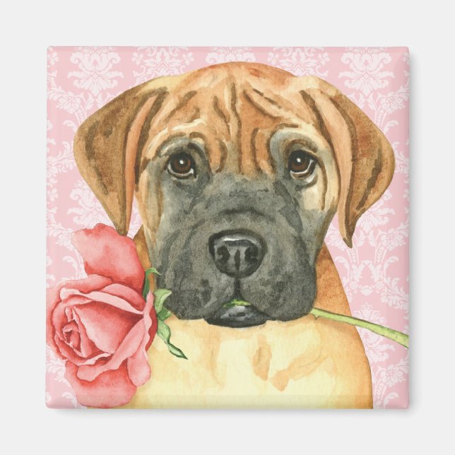 Valentine Rose Bullmastiff Magnet (Front)