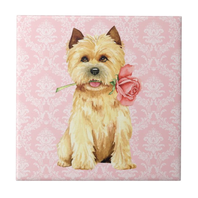 Valentine Rose Cairn Terrier Ceramic Tile (Front)