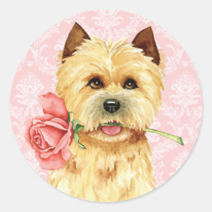 Valentine Rose Cairn Terrier Classic Round Sticker