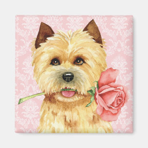 Valentine Rose Cairn Terrier Magnet