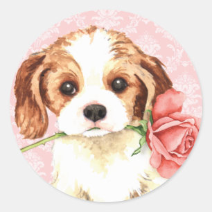 Valentine Rose Cavalier Classic Round Sticker
