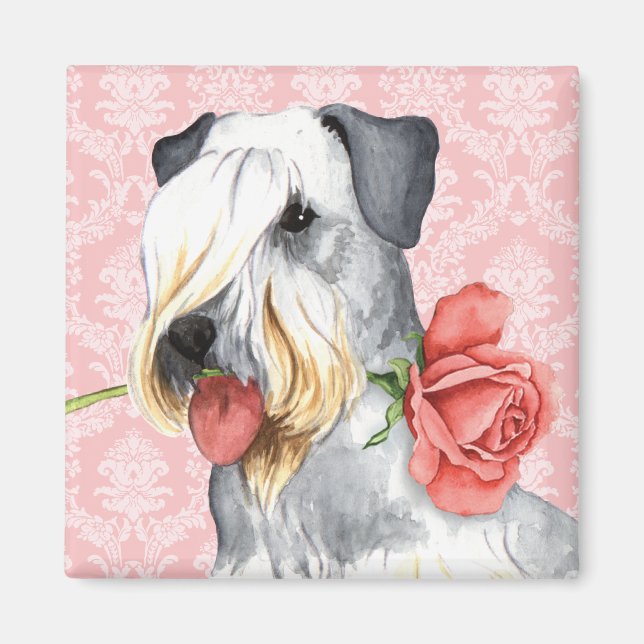 Valentine Rose Cesky Terrier Magnet (Front)