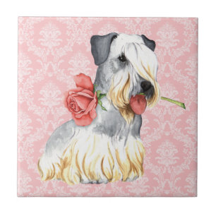 Valentine Rose Cesky Terrier Tile