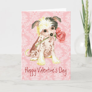 Valentine Rose Chinese Crested Holiday Card
