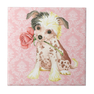 Valentine Rose Chinese Crested Tile