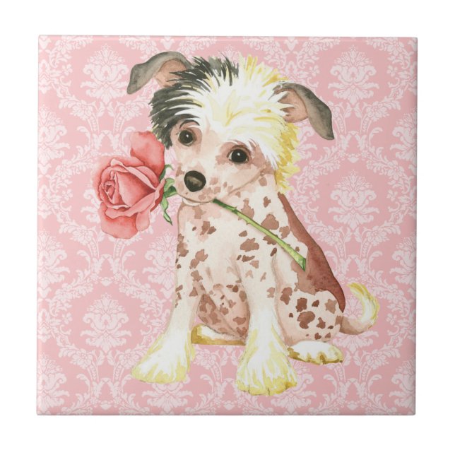 Valentine Rose Chinese Crested Tile (Front)