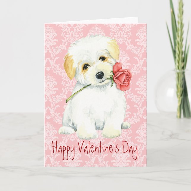 Valentine Rose Coton de Tulear Holiday Card (Front)