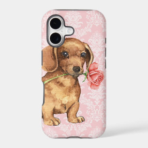 Valentine Rose Dachshund