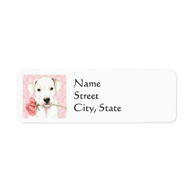 Valentine Rose Dogo (Front)