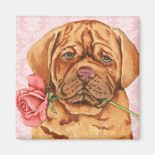 Valentine Rose Dogue de Bordeaux Magnet